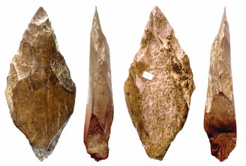 Figure 2. An Acheulean biface handaxe from the site of Fontana Ranuccio (Mussi cited in Barkai 2019, Figure 11.3, 160). These artefacts have confused researchers since using elephant bone over other mediums does not offer a functional advantage in bifacial flaking (Zutovski and Barkai 2016, 233-4). They have therefore been suggested to have been imbued with social, symbolic significance (1Zutovski and Barkai 2019, 230). Perhaps they signalled group membership and bonds developed over a great feast?